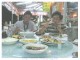 Thumbs/tn_sp5120016.jpg
