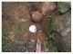 Thumbs/tn_sp5130080.jpg